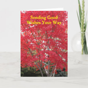 Carte Arbre aux feuilles rouges automnales qui me font p