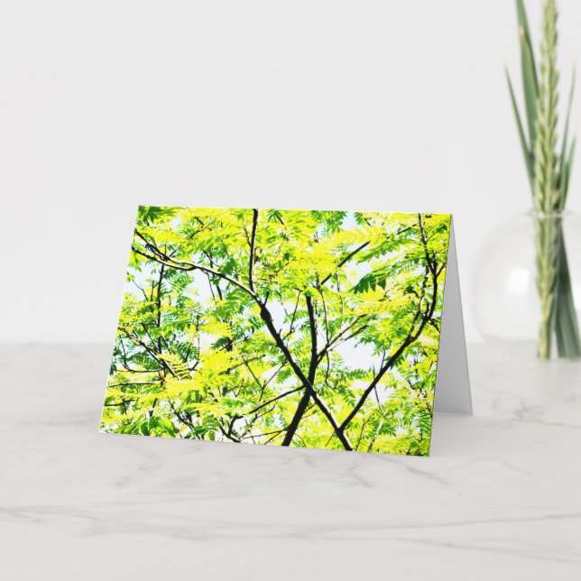 Carte Arbre Canopée Pop Art (Devant)