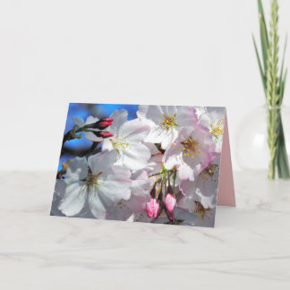 Carte Arbre cerise en fleurs