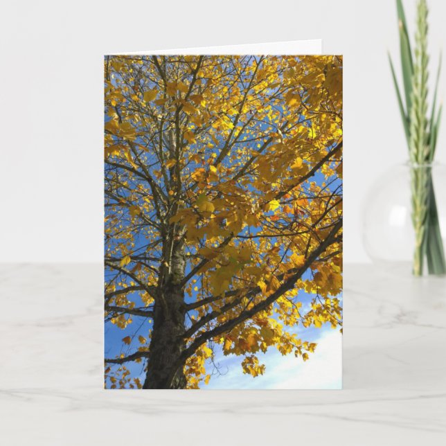 Carte Arbre d'automne jaune (Devant)
