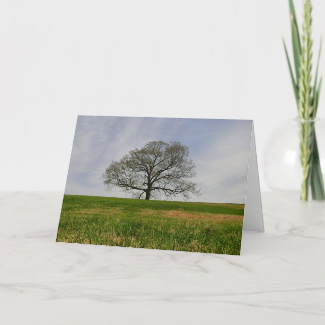 Carte Arbre de vie (Devant)