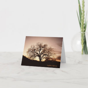 Carte Arbre de Vie...