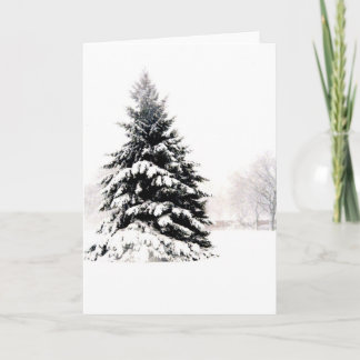 Carte Arbre d'hiver