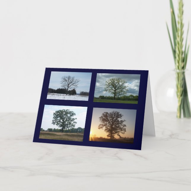 Carte Arbre en 4 saisons (Devant)