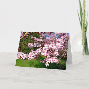 Carte Arbre Fleur de Cerisier dans le Parc