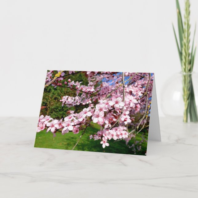 Carte Arbre Fleur de Cerisier dans le Parc (Devant)