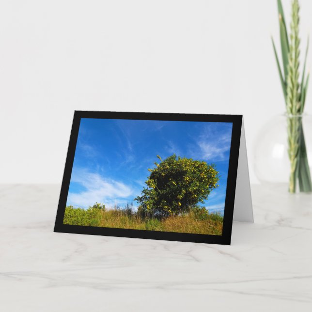 Carte Arbre Mandarin Solitaire (Devant)