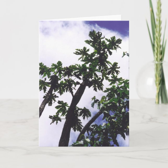Carte Arbre Mango (Devant)