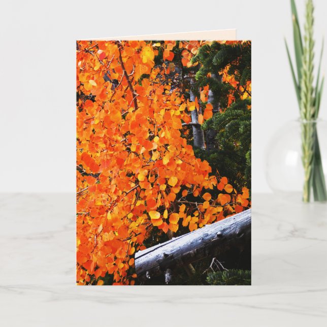 Carte Arbre Orange Avec Journal, Blanc À L'Intérieur (Devant)