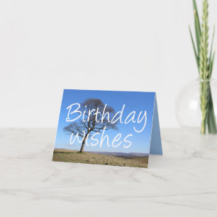 Carte Arbre solitaire, amoureux des arbres et arboristes