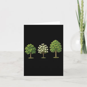 Carte Arbre subtil Anti Trump Chemise Arbre Figues Dogwo