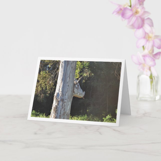 Carte Arbre Taureau à Valence, Espagne, Espagnol (Orchidée)