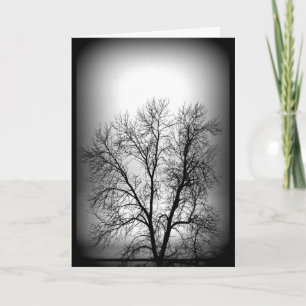 Carte Arbre Tournant Noir Et Blanc Toute Occasion