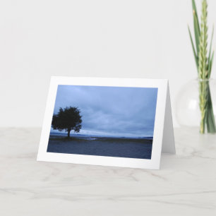 Carte arbre - vide à l'intérieur