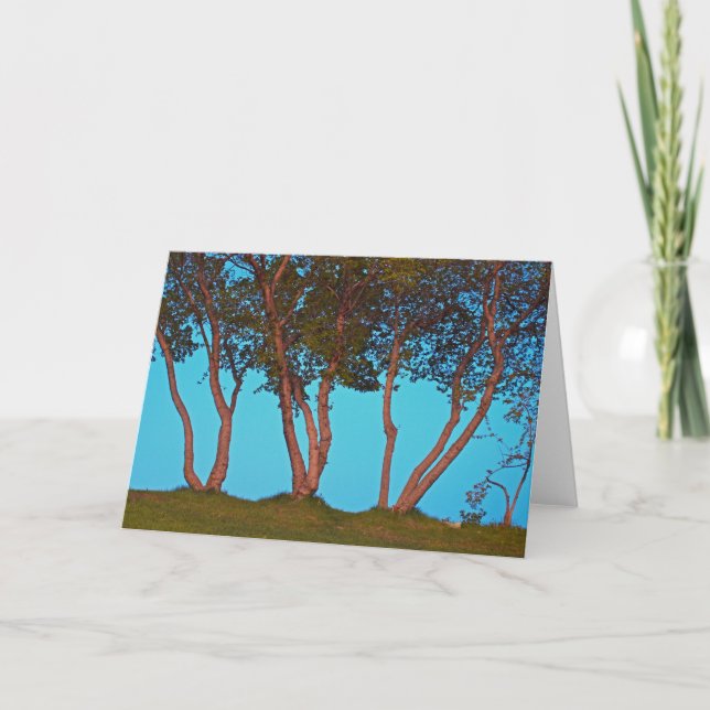 Carte Arbres bleus (Devant)