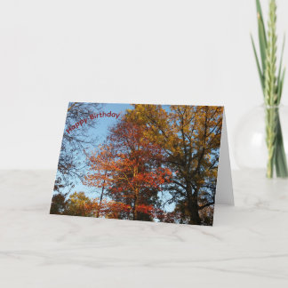 Carte Arbres colorés d'automne Joyeux Anniversaire