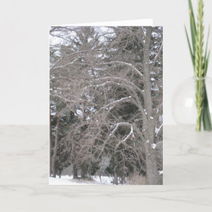 Carte Arbres dans la neige III