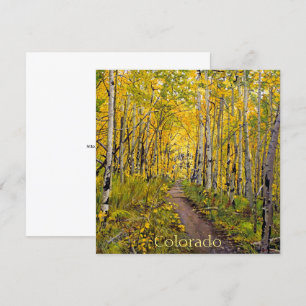 Carte Arbres D'Aspen En Automne