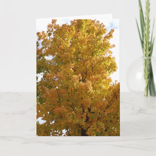 Carte Arbres d'automne, Vieux Ami (Devant)