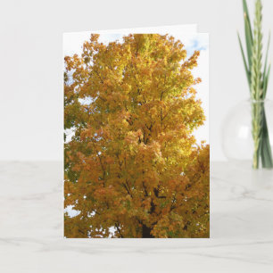 Carte Arbres d'automne, Vieux Ami