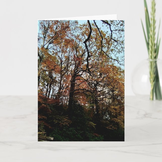 Carte Arbres, sur la rive (Devant)