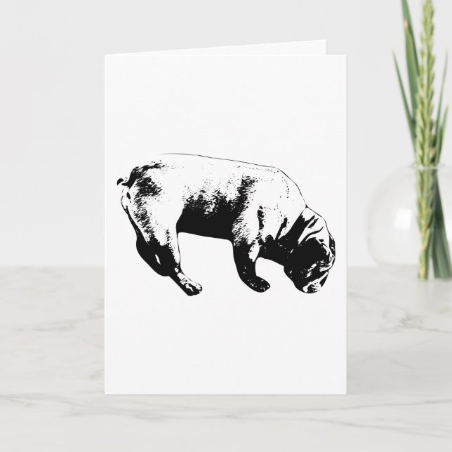 Carte Arc curieux, souhait graphique (Devant)