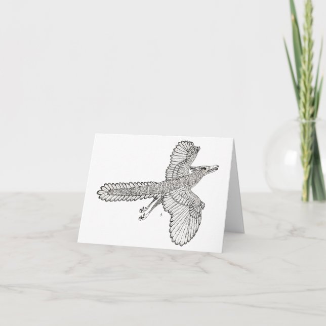 Carte Archaeopteryx (Devant)