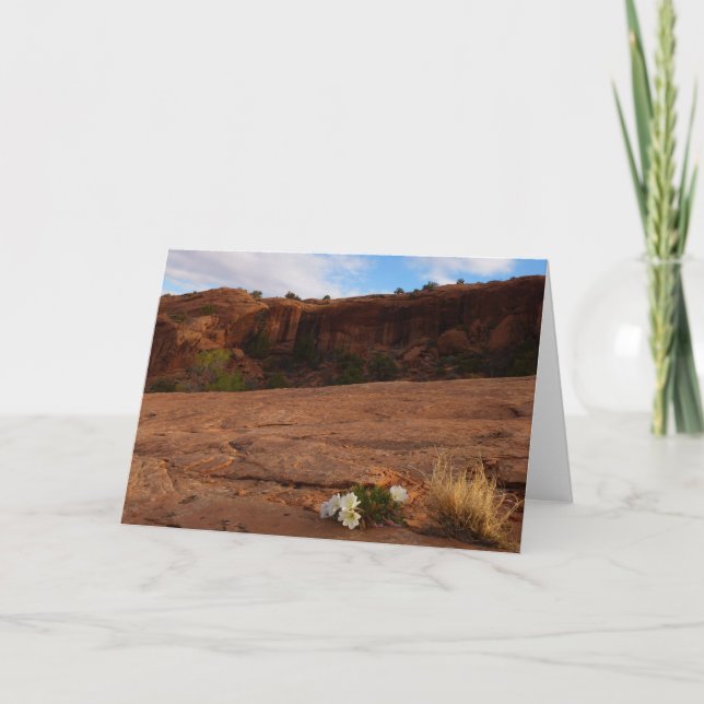 Carte Arches Slickrock et soir Primrose Paysage (Devant)