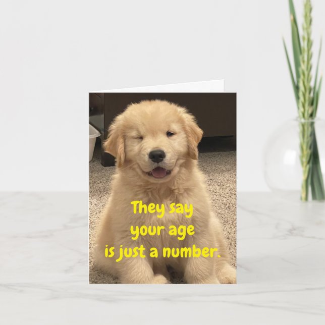 Carte Archie's Adventures Birthday Card (Devant)