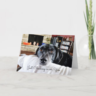 Carte Archiver sur vous | Chien mignon personnalisé