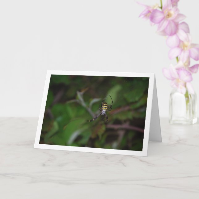 Carte Argiope bruennichi, Guêpe araignée, Araignée de ja (Orchidée)