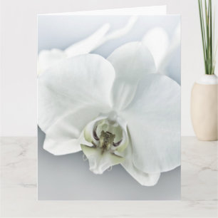 Carte Art botanique de l'orchidée blanche élégante