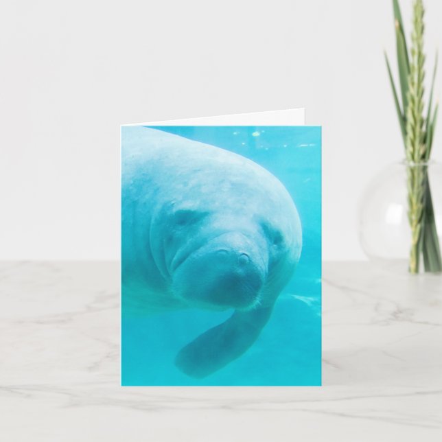 Carte Art numérique Manatee "oh salut" (Devant)
