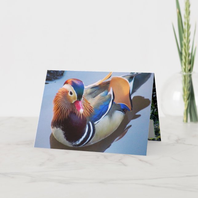 Carte Art par Davey Mandarin Duck (Devant)