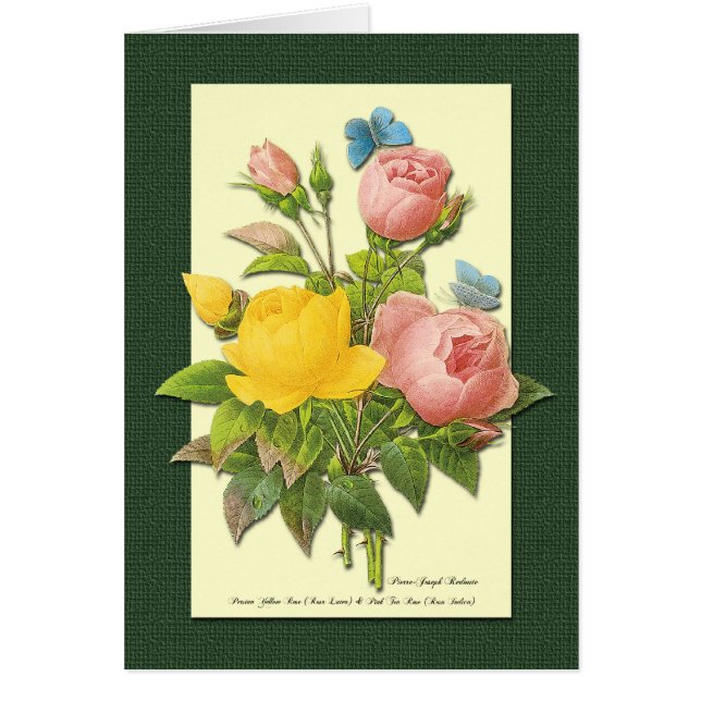 Carte artistique de roses botaniques roses et jaun (Devant)