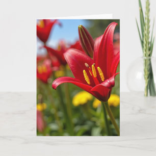 Carte artistique Fleur cramoisie à pois