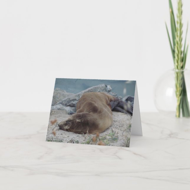 Carte Asleep on the Rocks (Devant)