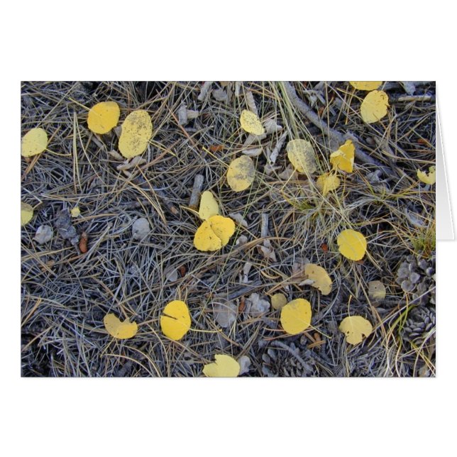 Carte Aspen Ground II (Devant horizontal)