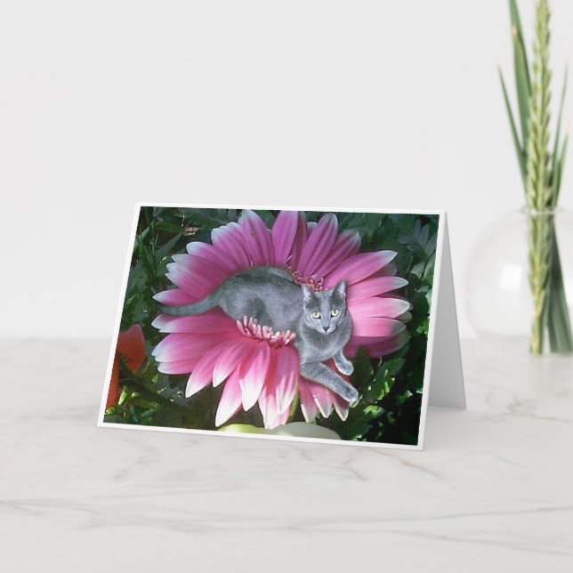 Carte Assez dans le rose (Devant)