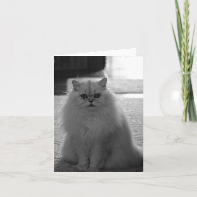 Carte Assis Jolie (Devant)