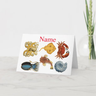 Carte Association d'apaces de mer uniques Thunder_Cove