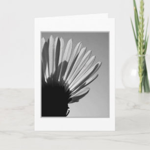 Carte ASTER : Un Die Falls. . .