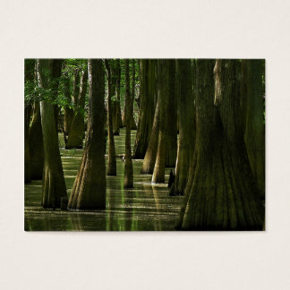 Carte ATC Cypress Swamp