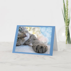 Carte Atteindre le chat mignon, animal de compagnie Kitt