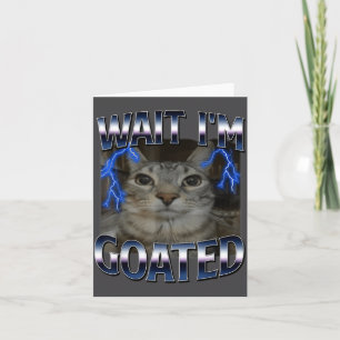 Carte Attendez, je suis un chat divin Mème de chat drôle