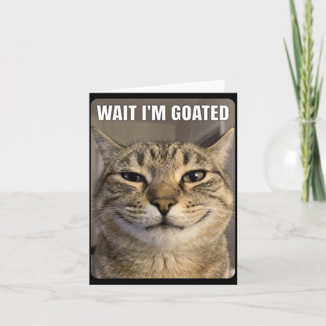 Carte Attendez le chat goûté drôle stupide qui fixe le c (Devant)