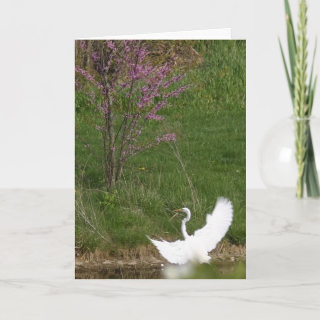Carte Atterrissage doux (Devant)