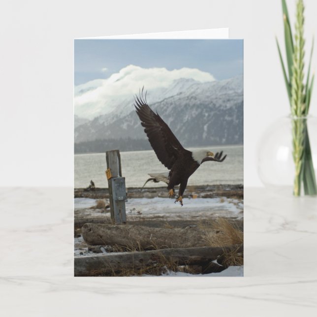 Carte Atterrissage Eagle (Devant)