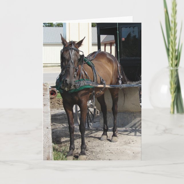 Carte Au courrier s'accrochant (Devant)