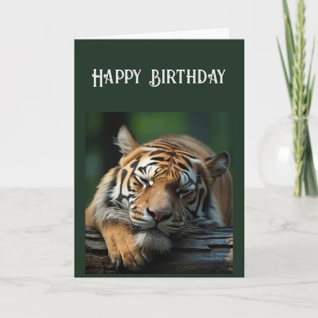 Carte Au-dessus de la colline Sérieusement Big Cat Nap (Devant)